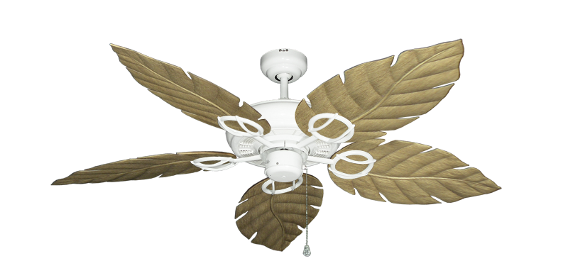 The Trinidad Cieling Fan Outdoor Collection Wet Rated High Performance Motor Remote Adaptable