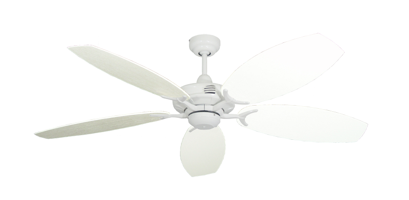 Coastal Air 52" Ceiling Fan Traditional Collection - Wet Rated Remote Adaptable - High Efficiency DC Motor