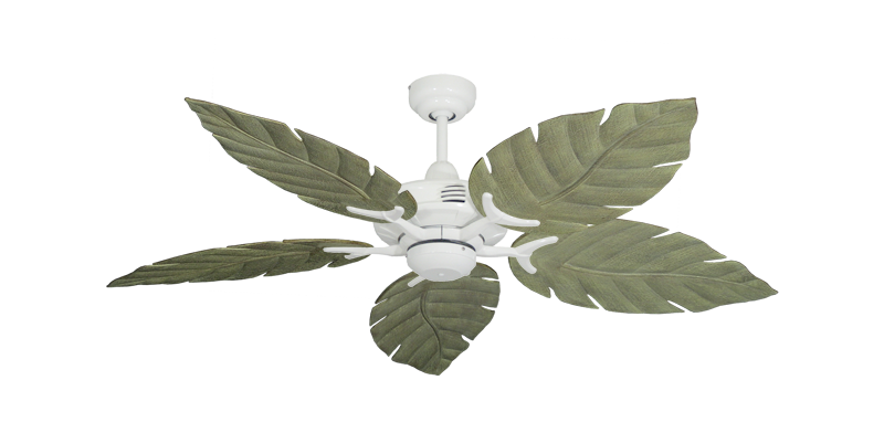 Coastal Air 52" Ceiling Fan Traditional Collection - Wet Rated Remote Adaptable - High Efficiency DC Motor